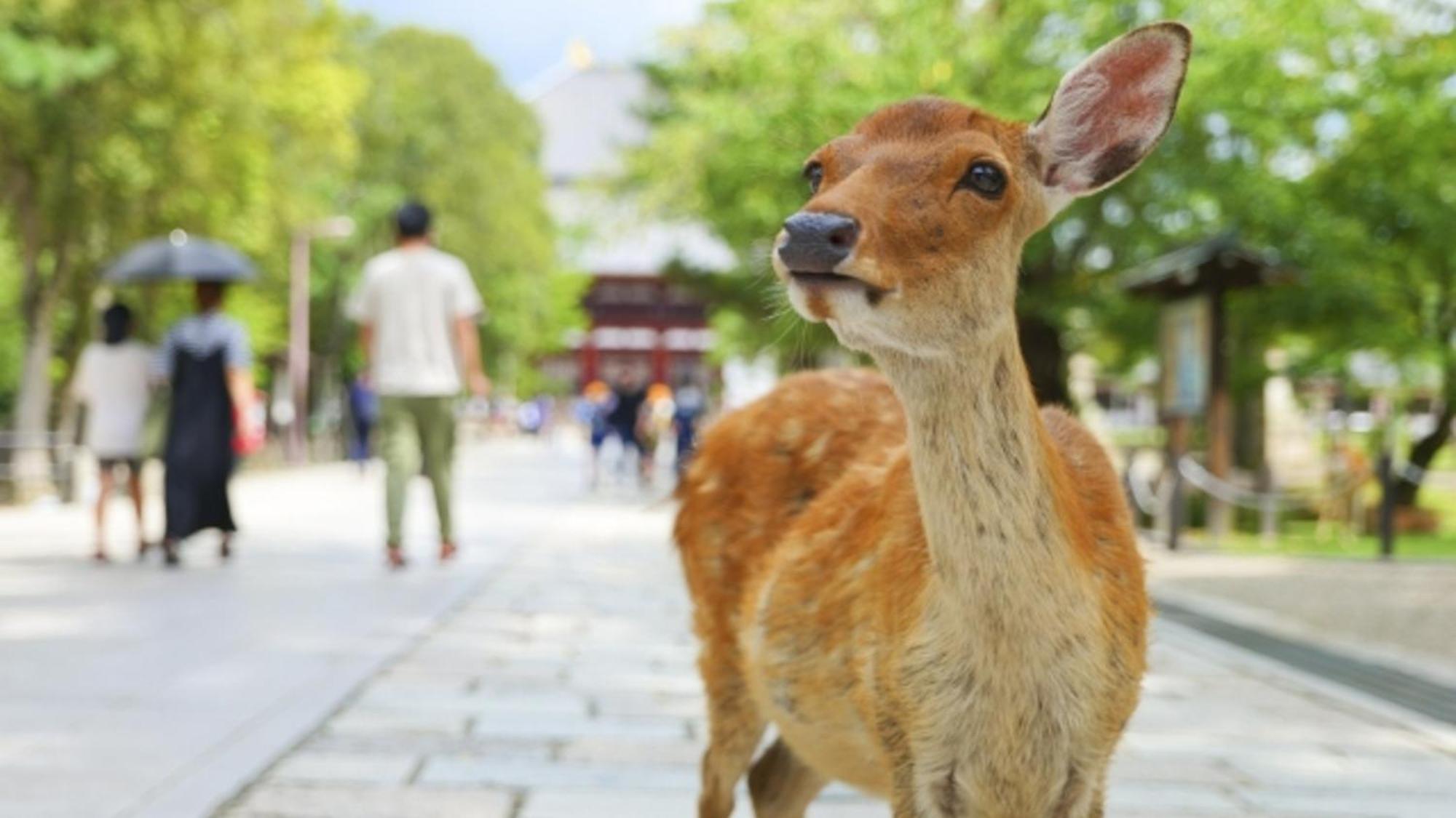 Hotel Arashi Nambaminami Oszaka Kültér fotó
